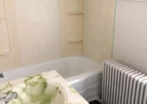 A bathroom with a bathtub and radiator. The sink has a green floral design.
